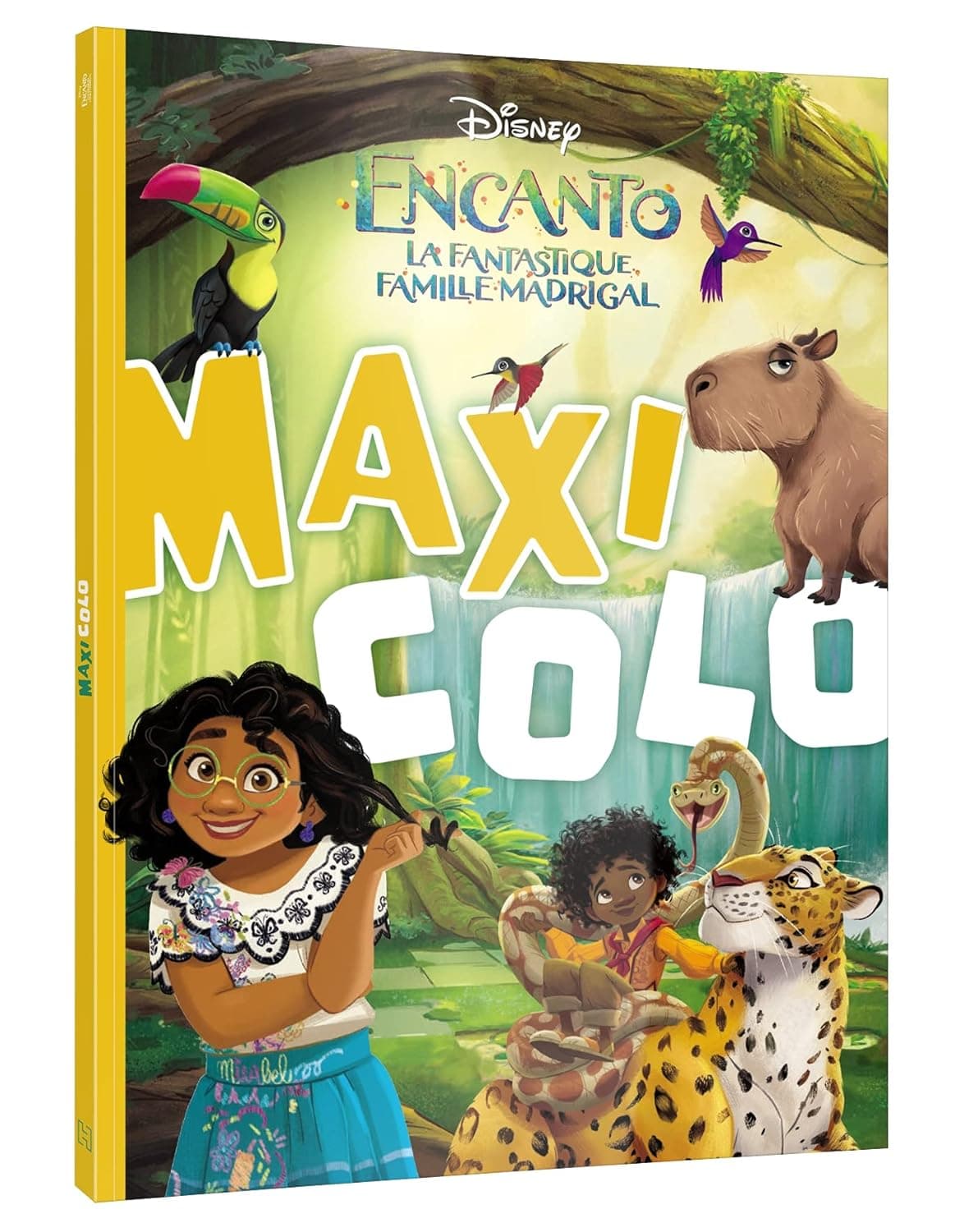 ENCANTO, LA FANTASTIQUE FAMILLE MADRIGAL - Maxi Colo (Encanto: The Magical Madrigal Family – Maxi Coloring)